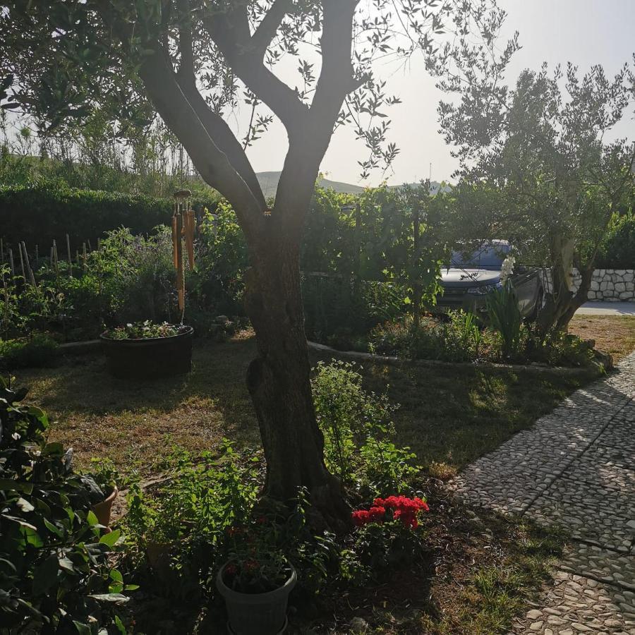 Pag Vlašići Exterior foto